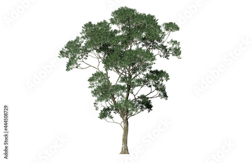Beautiful 3D green tree isolated on white background