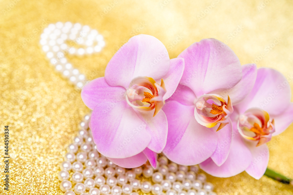 purple Orchid and pearl necklace on a shiny gold background
purple Orchid and pearl necklace on a shiny gold background