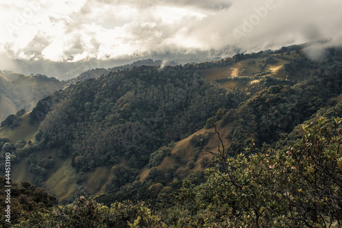 Beautiful landscape with a cloudy morning in the green hills of Escazu covered with bushes and trees photo