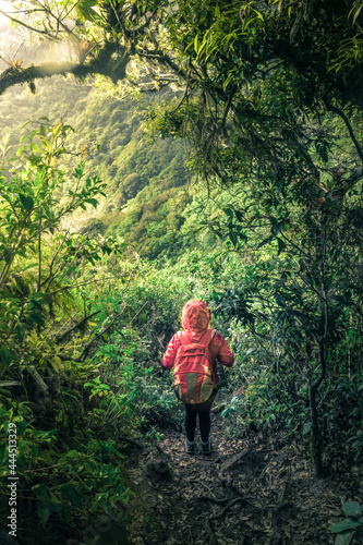 vertical shot of a young hiker walking along a path with a beautiful landscape on a cloudy morning in the green hills of Escazu covered with bushes and trees