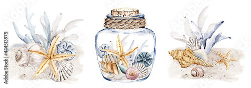 Fotografia Shells in glass vase, watercolor set, beach scenery