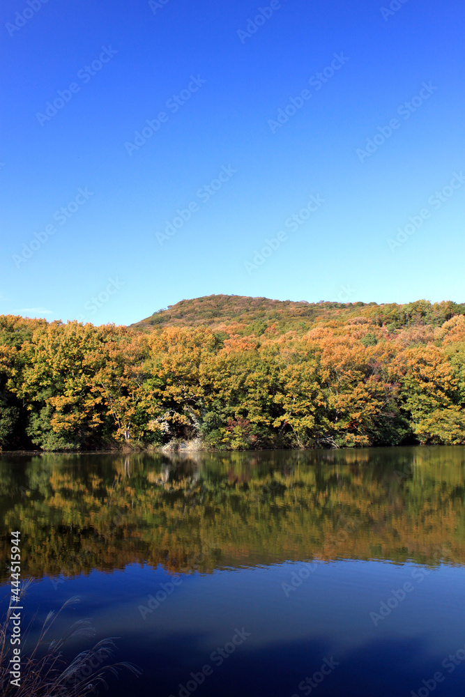 青空と水面と秋の景色