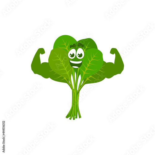 Cartoon spinach sportsman demonstrate power, vector funny green vegetable show muscles. Bodybuilding sport, healthy food character sports lifestyle, organic nutrition isolated on white background