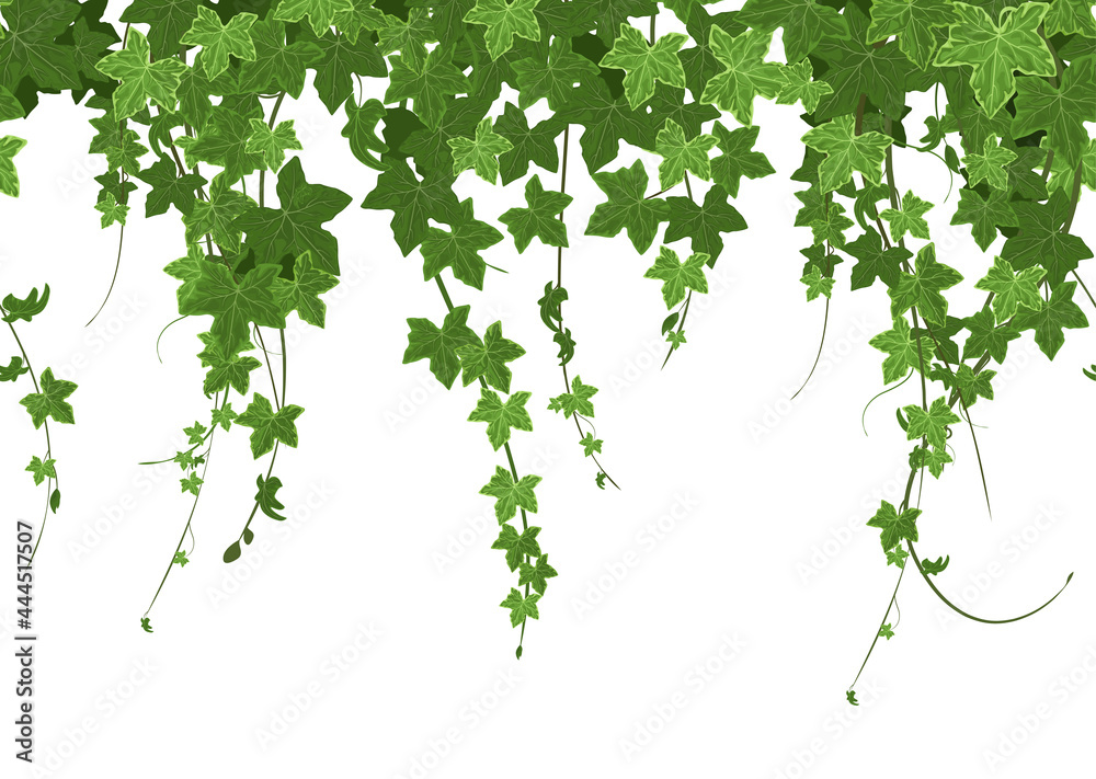 Ivy Border Seamless Composition