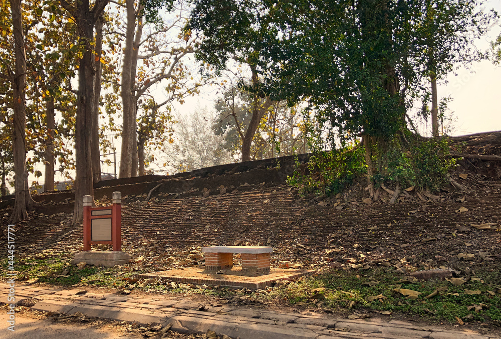 Trees sprouted through the ancient city walls of Chiang Saen. one of the oldest settlements in Thailand. the wall was built in 1328 AD. Chiang Saen, Chiang Rai Province, Thailand 
