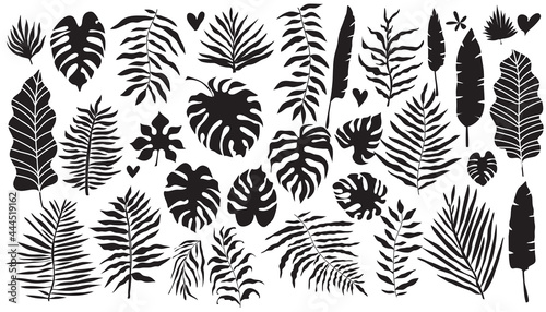 Tropical Leaves set 1