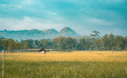 Landscape of Hut and Field