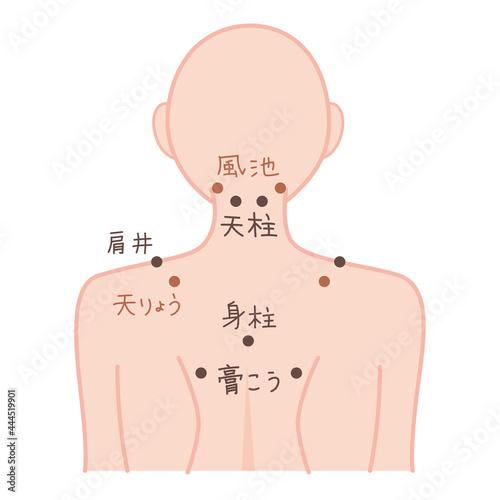 わかりやすい肩と背中のツボの図表イラスト素材・背面