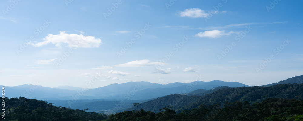 Panorama view of forest and mountain landscape