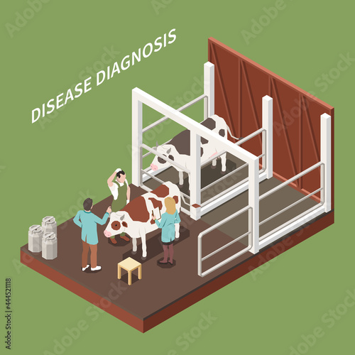 Vet Livestock Examination Isometric Composition