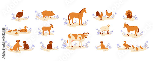 Farm animals set. Horse cow goat duck with ducklings chicken with rooster donkey guinea fowl turkey pig sheep cat dog. Vector illustration in flat cartoon style.
