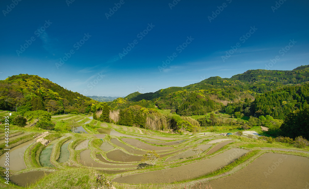 棚田 水田 棚田 水田