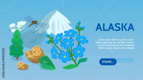 Alaska Isometric Web Banner