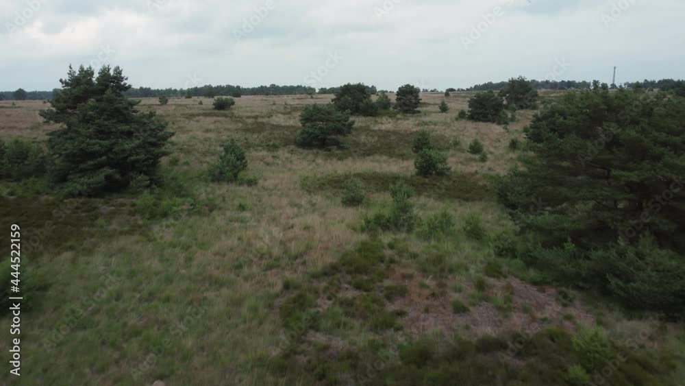 National park the Veluwe in province Gelderland in the Netherlands, aerial drone footage National park the Veluwe in province Gelderland in the Netherlands, aerial drone footage