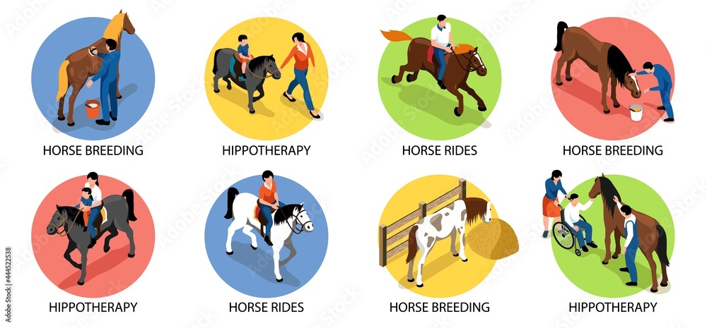 Hippotherapy Compositions Set