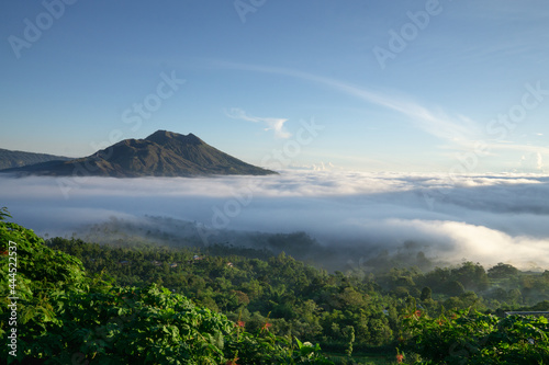 The atmosphere of Mount Batur in the morning where the caldera is covered by low stratus clouds. The sky looks bright blue and green vegetation around Mount Batur