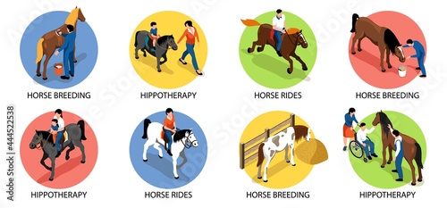 Hippotherapy Compositions Set