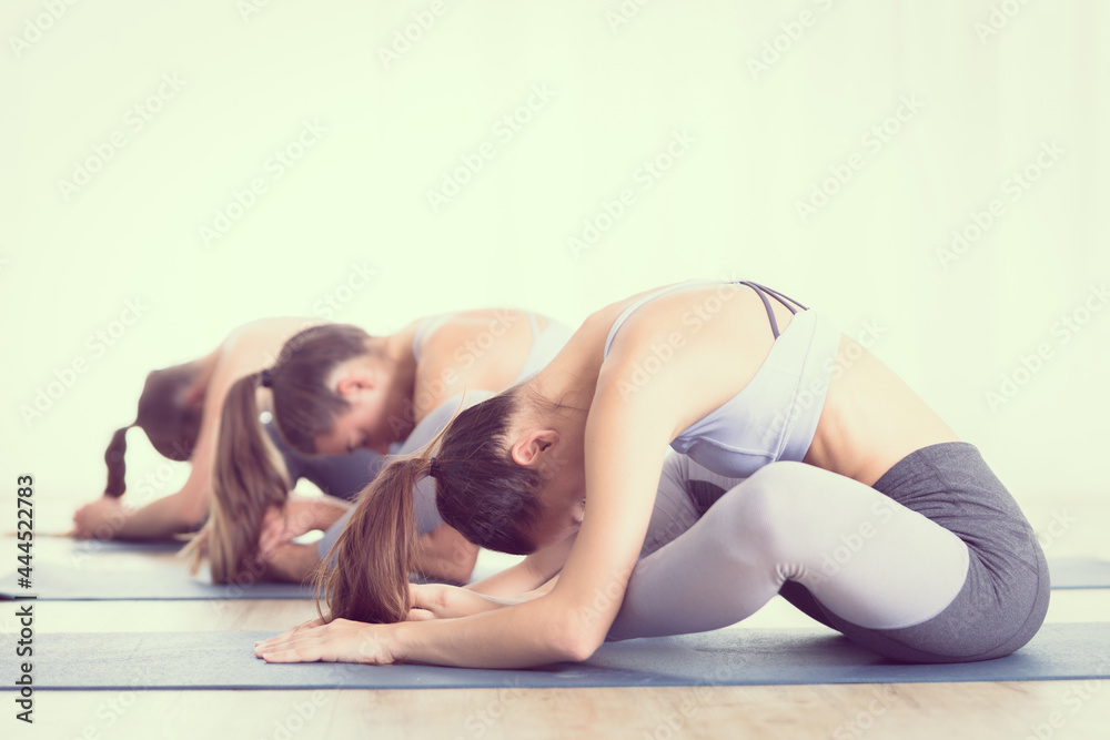 Fototapeta premium Group of young sporty attractive women in yoga studio, practicing yoga lesson with instructor, sitting on floor in forward bend yoga sana posture. Healthy active lifestyle, working out indoors in gym