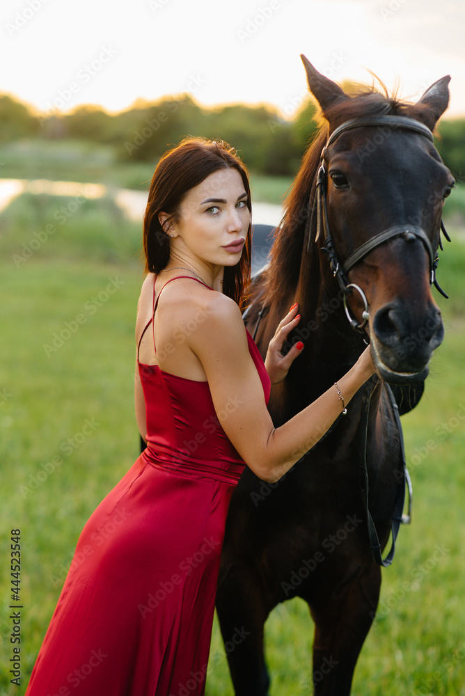 Obraz premium A young pretty girl in a red dress poses on a ranch with a thoroughbred stallion at sunset. Love and care for animals