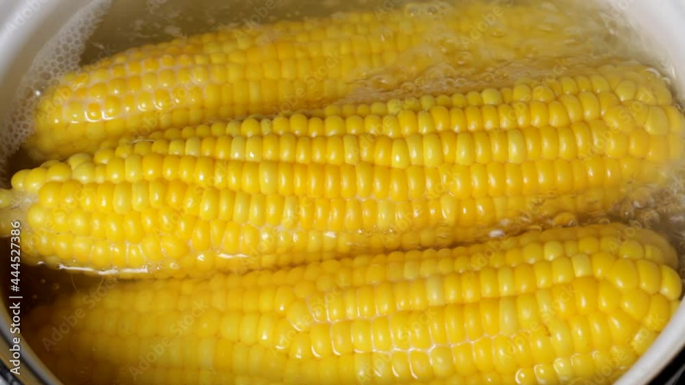 sweet corn is boiled in boiling water, close-up sweet corn is boiled in boiling water, close-up