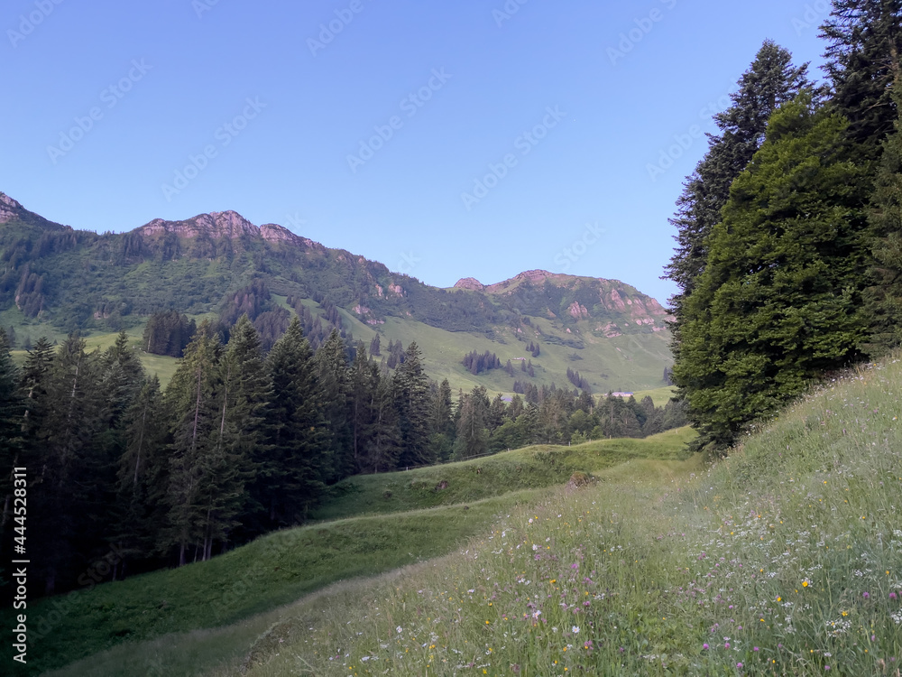 Lütispitz beim Säntisin der  Schweiz