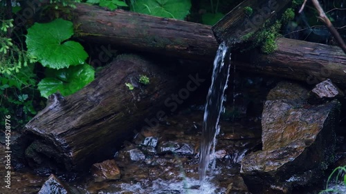 Wallpaper Mural A stream of clear water from a forest mineral spring pours in slow motion. Crystal clear fresh mountain water falling from wooden pipe. Hiking adventure. Forest water source. Carpathian Mountains. Torontodigital.ca