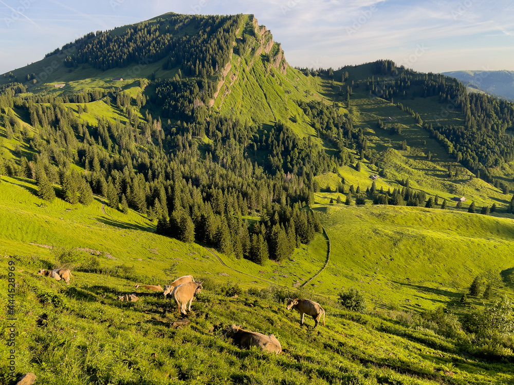 Obraz premium Wandern auf die Lütispitz im Alpstein Schweiz