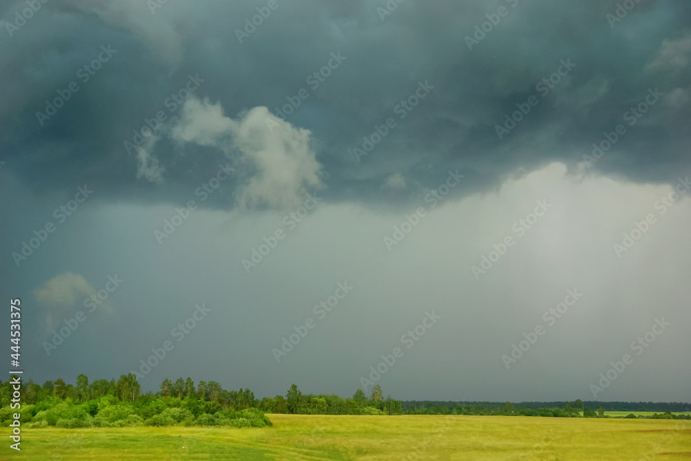 a bright yellow-green field and dark storm clouds with heavy rains