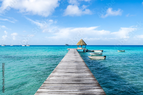Fototapeta Naklejka Na Ścianę i Meble -  Wooden pier on a tropical island in the South Seas