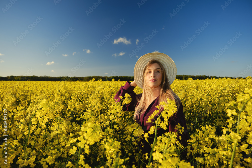 Fototapeta premium woman in a blooming field