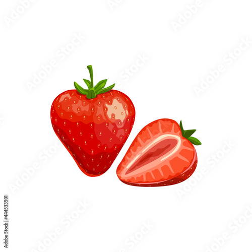 Strawberry isolated vector wild or garden berry, ripe plant with green stem on white background. Cartoon fresh whole and half berries, healthy food, organic natural raw production, design element