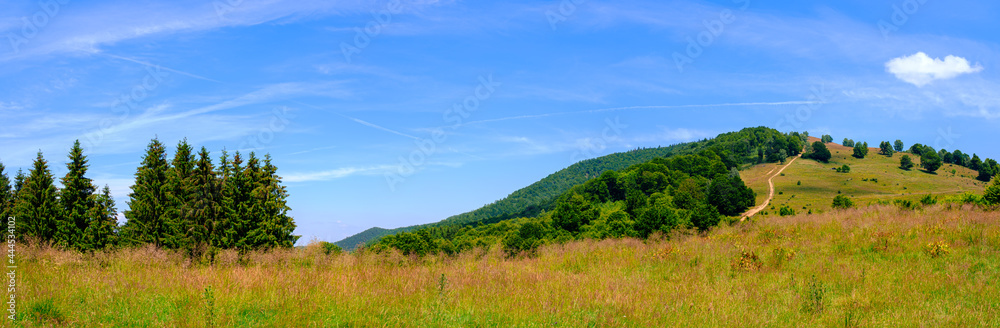 Cindrel Romanian mountains panoramic view, Glade Rose Cindrel Romanian mountains panoramic view, Glade Rose