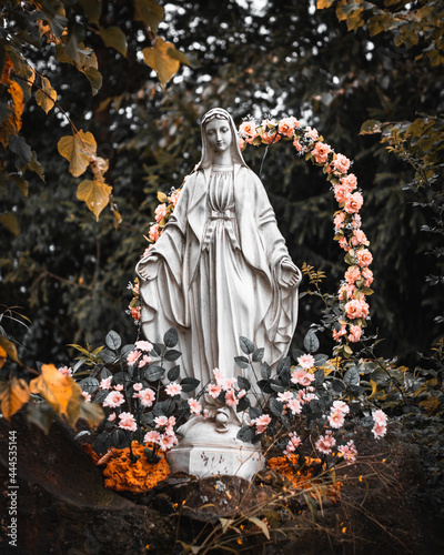 Fototapeta Naklejka Na Ścianę i Meble -  Strzebowiska | Bieszczady, Polska