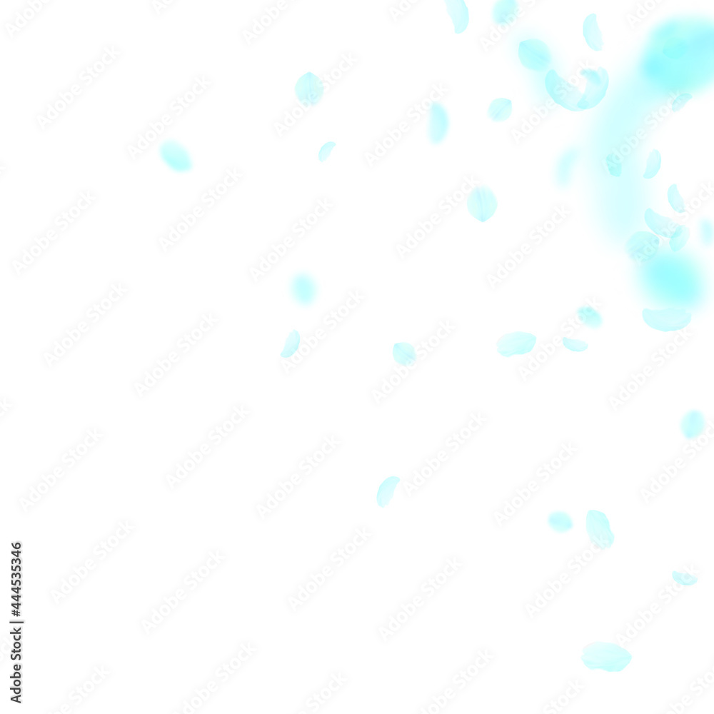 Turquoise flower petals falling down. Unusual roma Turquoise flower petals falling down. Unusual roma