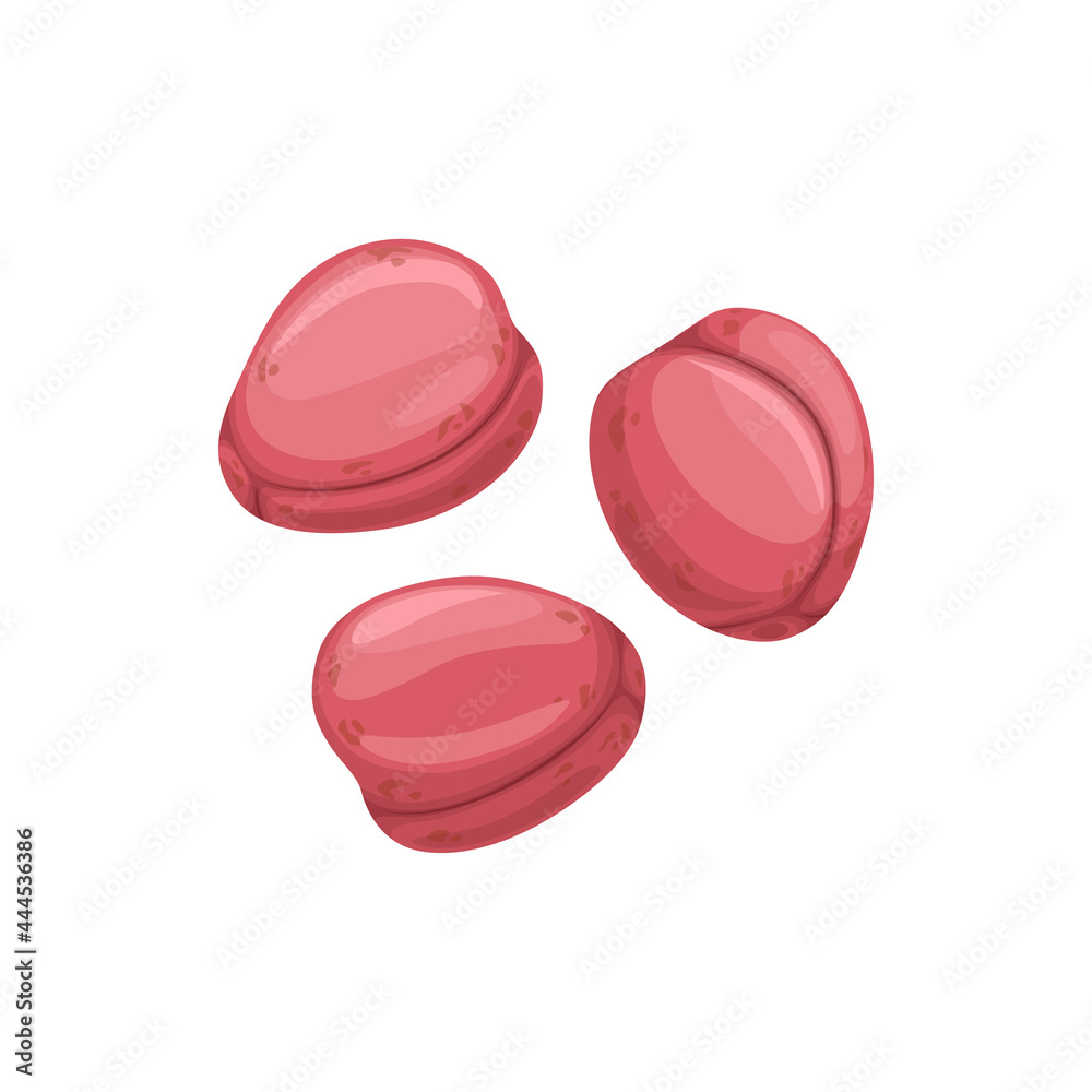 Kola nut fruits isolated flat cartoon icon. Vector pink cola nuts, natural stimulant, coke ingredient, caffeine-containing nuts used ceremonially. Roasted or fresh, peeled or unpeeled in pink shell