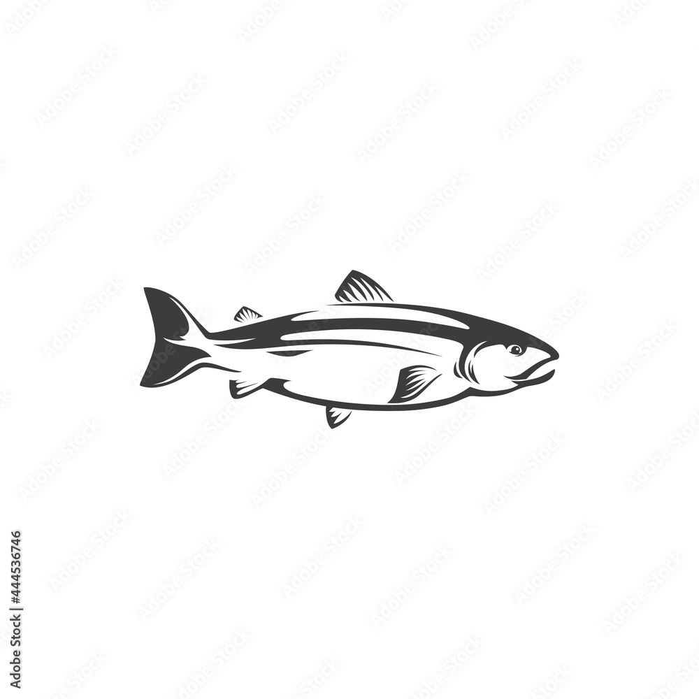 Herring or sea humpback, trout fish fishery mascot, freshwater animal isolated monochrome icon. Vector fish chum or pink salmon, sockeye seafood. Fishing sport trophy underwater animal with flippers Herring or sea humpback, trout fish fishery mascot, freshwater animal isolated monochrome icon. Vector fish chum or pink salmon, sockeye seafood. Fishing sport trophy underwater animal with flippers