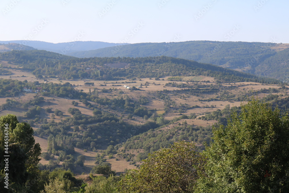 The Valley. The Valley.