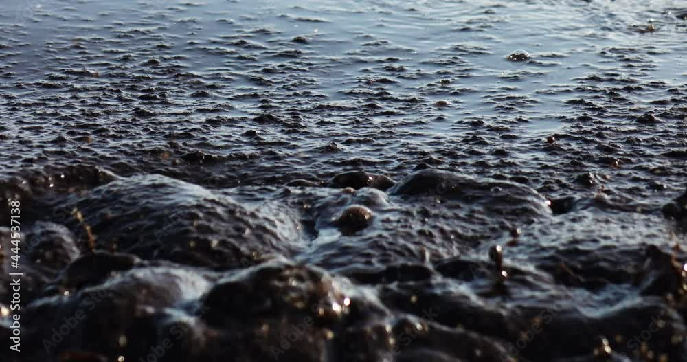 Oil pollution near the sea coast.Ecology. Environmental pollution. Dirty sea, an environmental problem of environmental pollution. Swimming is prohibited Oil pollution near the sea coast.Ecology. Environmental pollution. Dirty sea, an environmental problem of environmental pollution. Swimming is prohibited