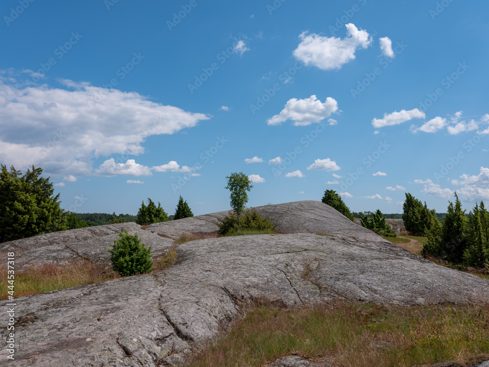 Cultural grass landscape with burial mounds from the viking age. Stones and trees scattered in the scene. Shot in Birka, Sweden, Scandinavia Cultural grass landscape with burial mounds from the viking age. Stones and trees scattered in the scene. Shot in Birka, Sweden, Scandinavia