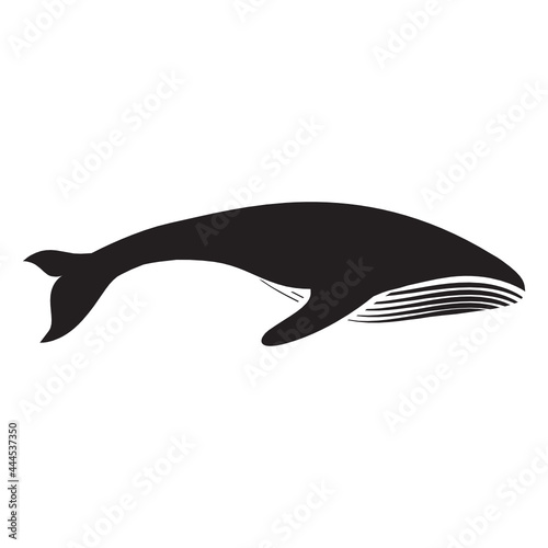 abstract humpback whale 