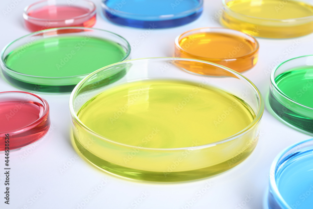 Many Petri dishes with colorful liquids on white background, closeup Many Petri dishes with colorful liquids on white background, closeup