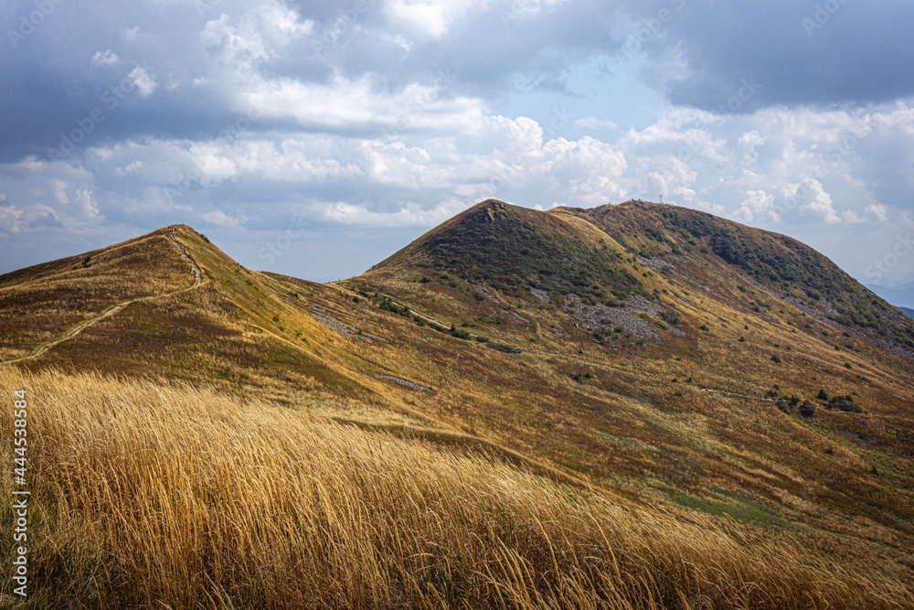 Obraz premium Tarnica | Bieszczady, Polska