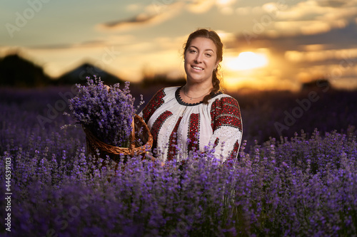 Young woman in Romanian folklore costume harvesting lavendere photo