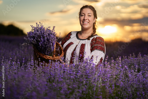 Young woman in Romanian folklore costume harvesting lavendere photo