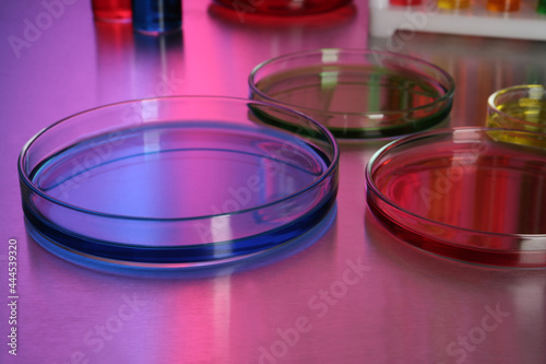 Petri dishes with colorful samples on table © New Africa