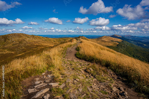 Fototapeta Naklejka Na Ścianę i Meble -  Połonina Wetlińska | Bieszczady, Polska