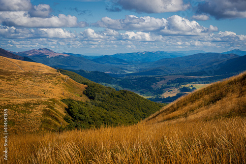 Fototapeta Naklejka Na Ścianę i Meble -  Połonina Wetlińska | Bieszczady, Polska