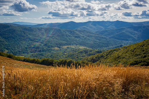 Fototapeta Naklejka Na Ścianę i Meble -  Połonina Wetlińska | Bieszczady, Polska
