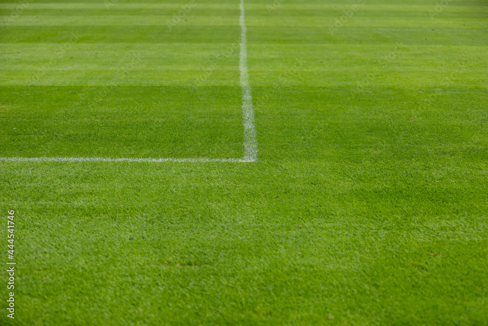white line marker corner on a green grass sports field, for soccer, football or other kind of sports