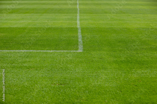white line marker corner on a green grass sports field  for soccer  football or other kind of sports